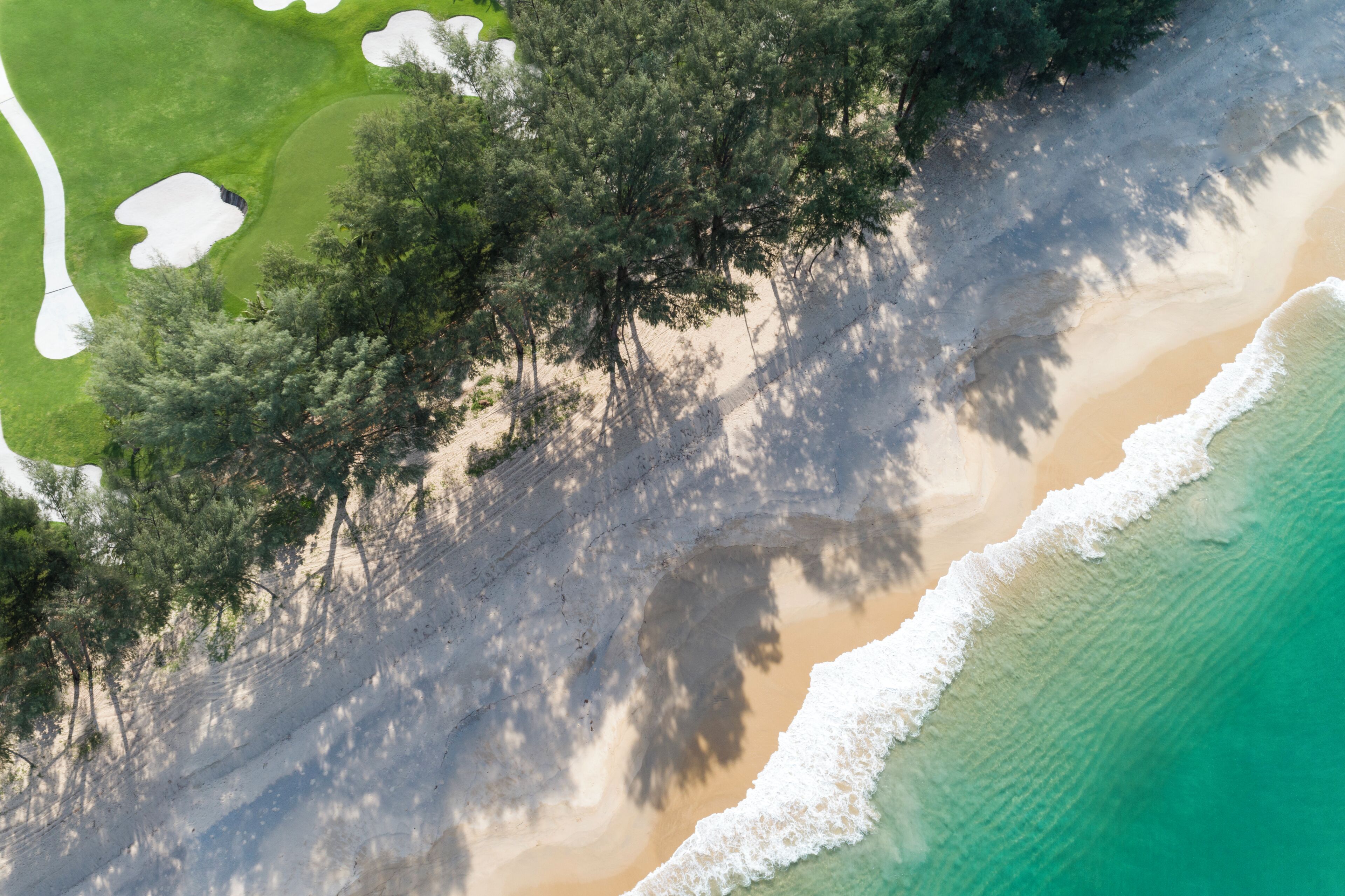 Un paisaje costero con una playa arenosa, un océano claro y un extenso bosque.