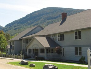 A two-story house with a porch, a chimney, and a mountain backdrop.