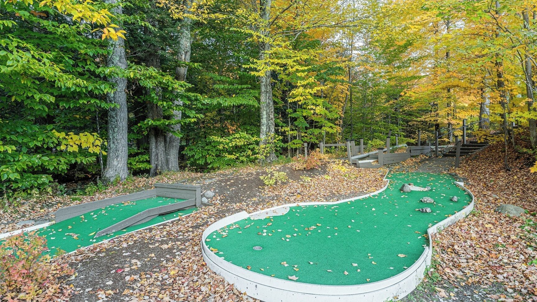 Un campo de mini golf con superficie de césped verde, rodeado de árboles y una valla de madera.