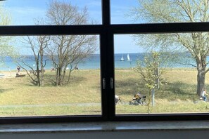 Vista a través de una ventana que muestra un área con césped, árboles y una masa de agua con veleros.