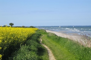 A coastal path leading to a beach with yellow flowers on one side and the sea on the other. - Baltic Sea Dream Kronsgaard (Kronsgaard)