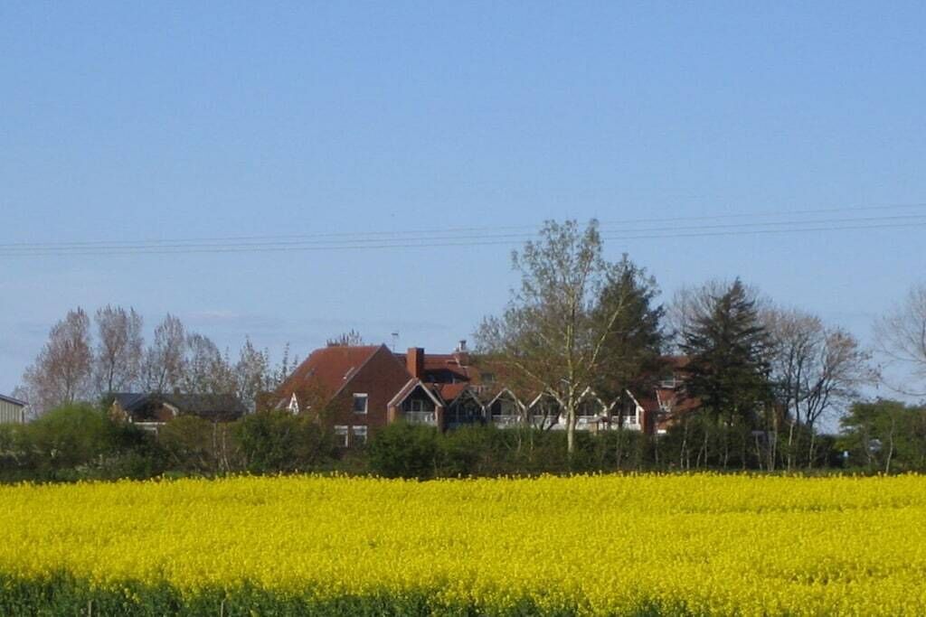 Ländliche Landschaft mit einem Feld gelber Blumen und einer Reihe Häuser mit roten Dächern.