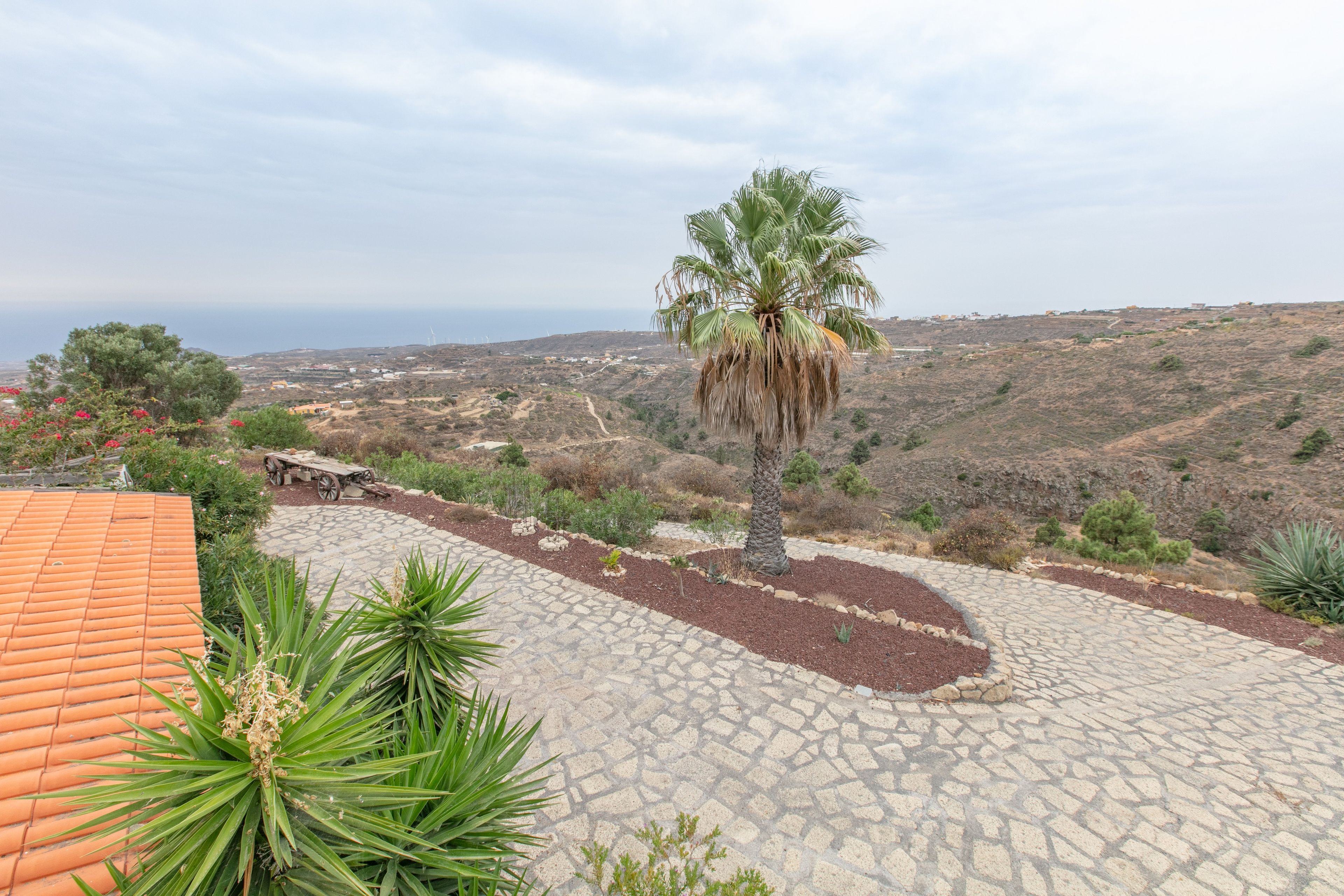 A stone pathway leading to a palm tree, surrounded by dry vegetation and a distant view of a coastal town.