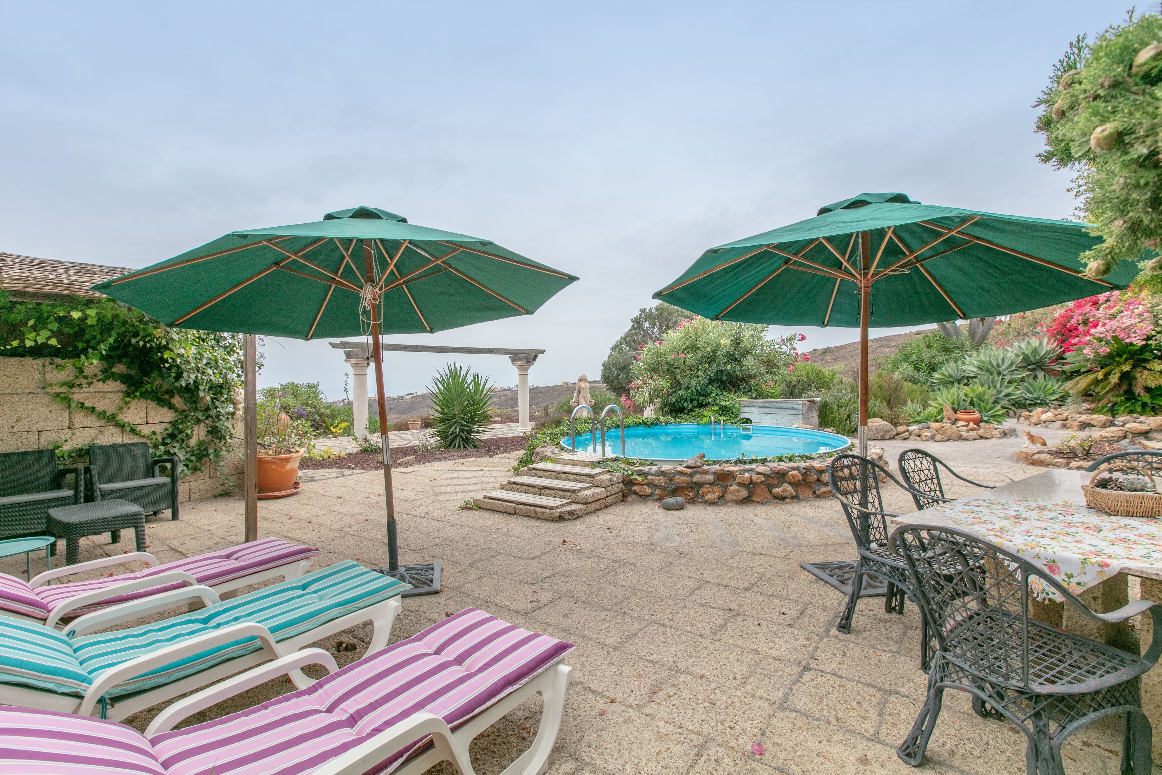 A backyard with a pool, lounge chairs, and umbrellas.