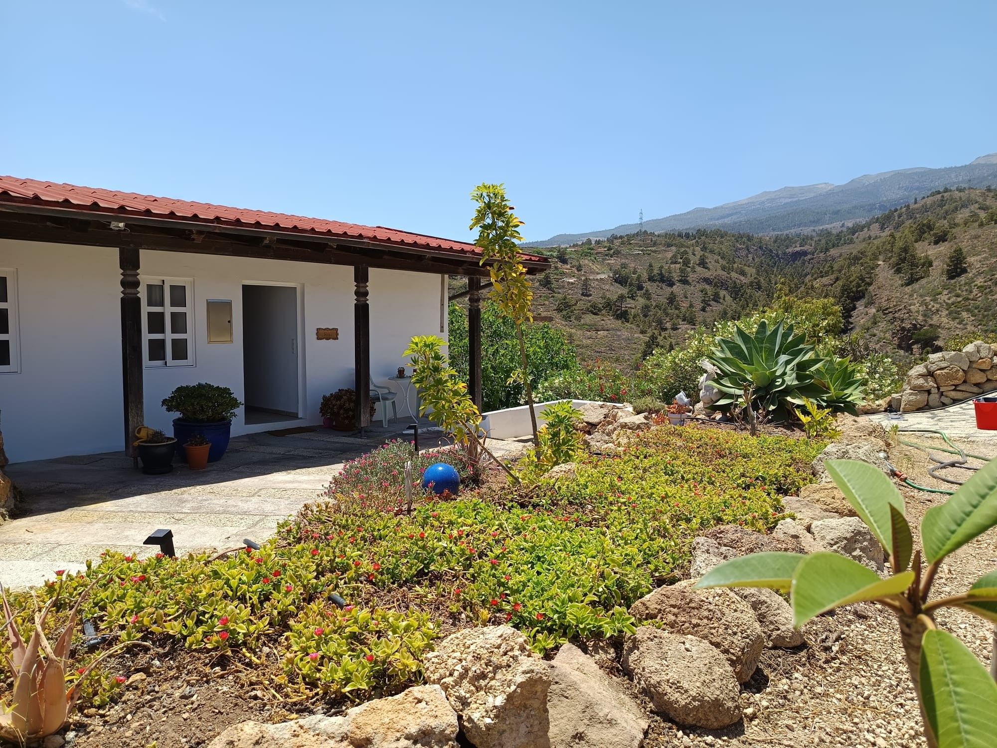 A building with a red roof, a garden with various plants, and a mountainous landscape in the background.