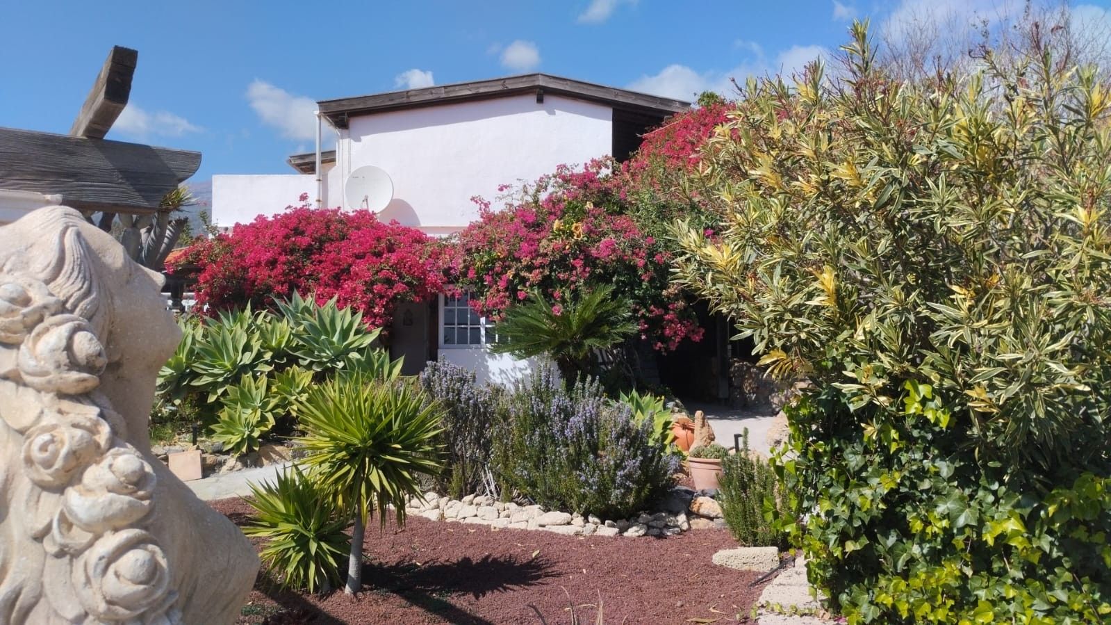 A house with a garden featuring various plants and a decorative stone sculpture.