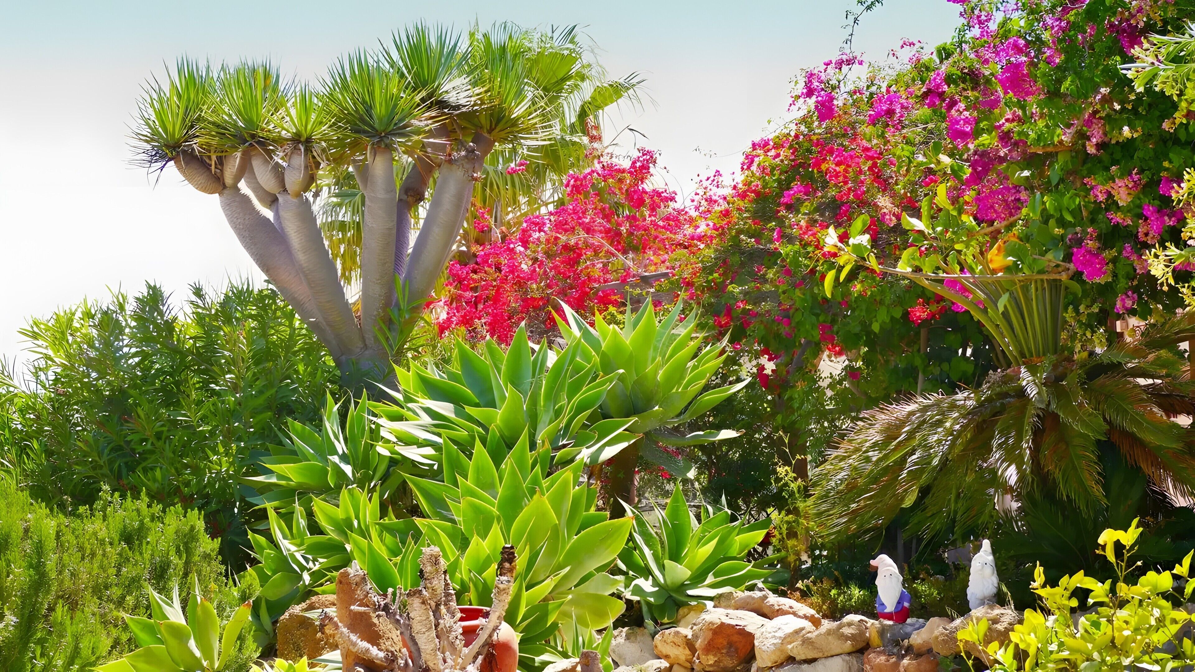 Een tuin met verschillende planten en een standbeeld.