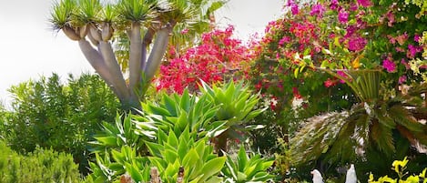 A garden with various plants and a statue.