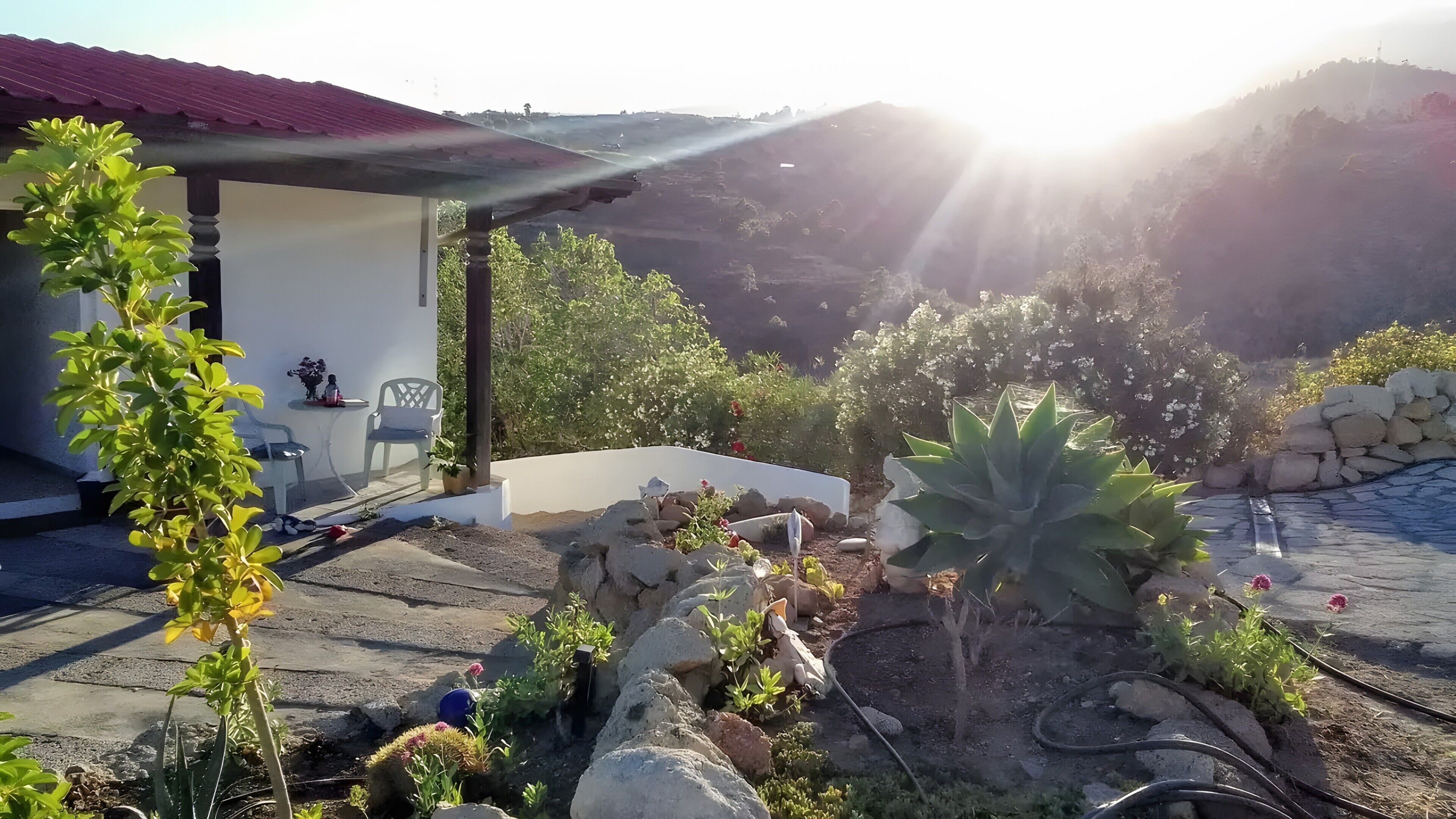 Jardines del alojamiento