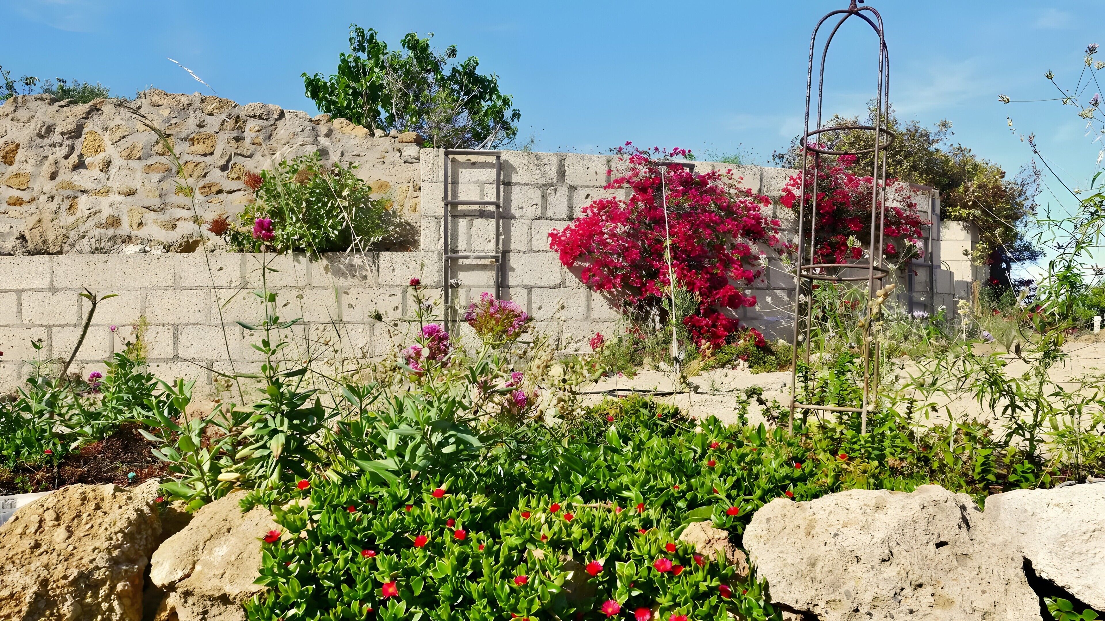 Un giardino con un muro in pietra, piante fiorite e una struttura in metallo.