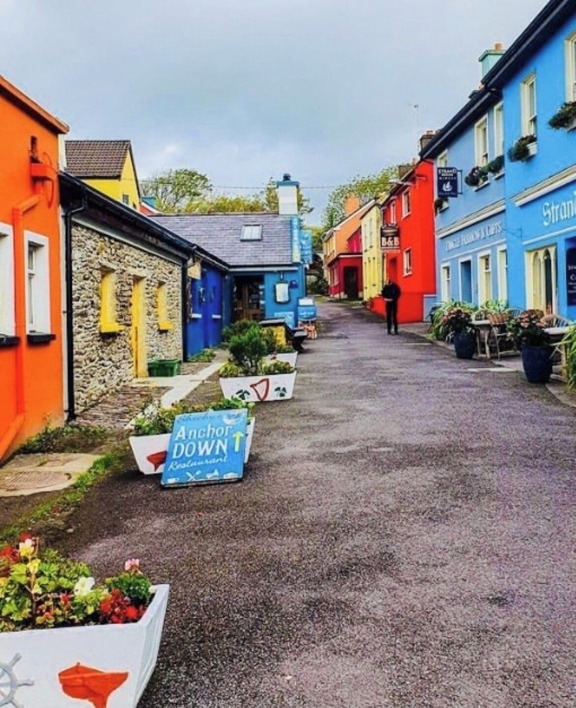 Una calle estrecha flanqueada por edificios coloridos, un letrero y plantas en macetas.