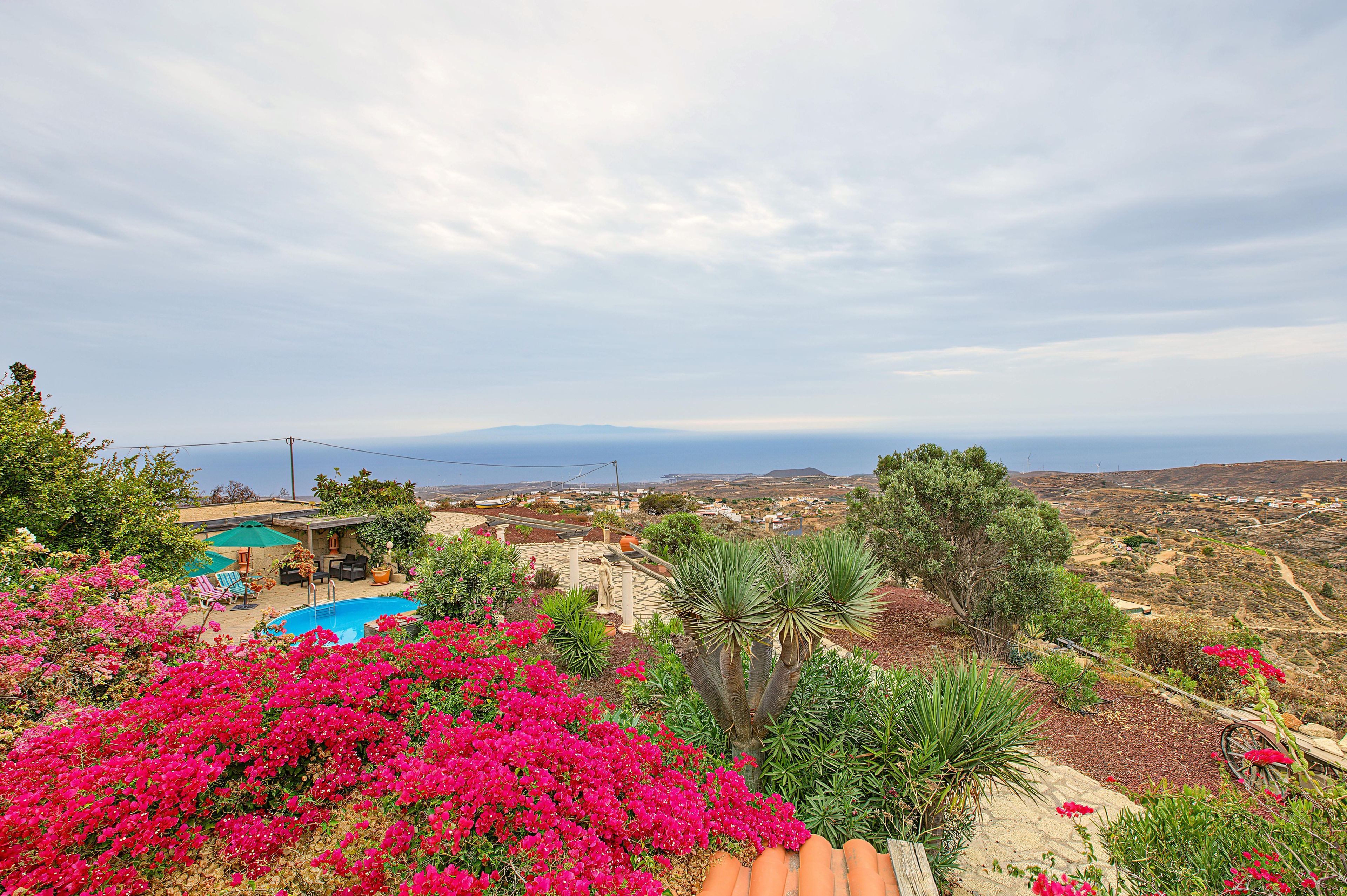 A pool surrounded by vibrant flowers and a view of a coastal landscape with wind turbines.