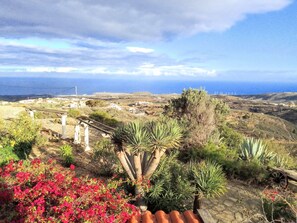 A coastal landscape with a variety of vegetation, including agave plants and red flowers, and a distant view of the ocean and wind turbines. - Holiday Apartment for 3 People (54 m²) in La Sabinita (La Sabinita)