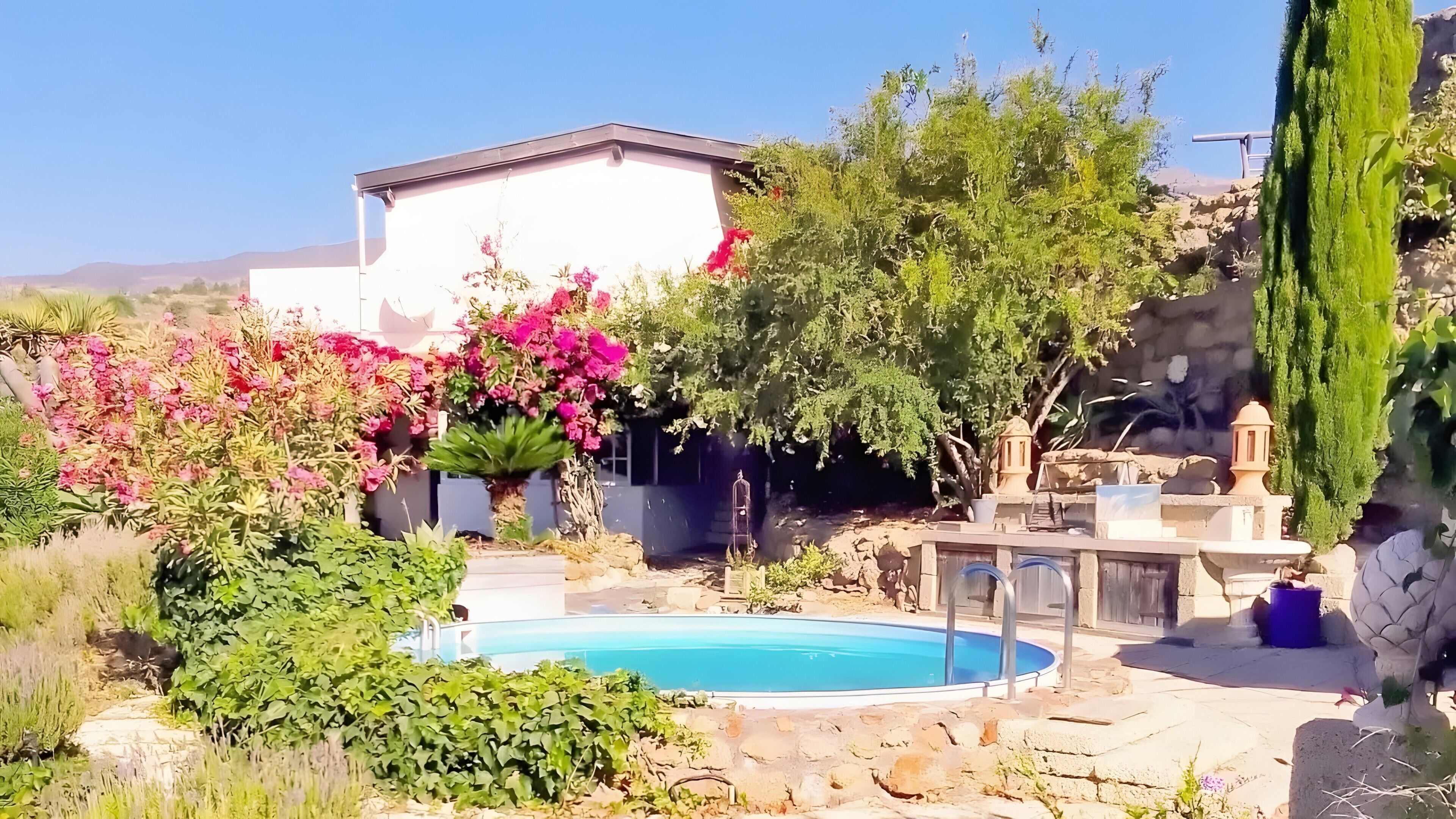 Una piscina rodeada de abundante vegetación y un edificio blanco.