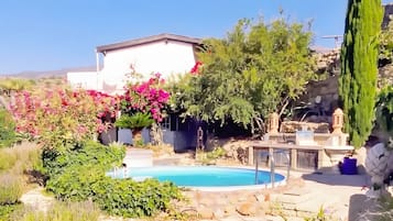 Una piscina rodeada de abundante vegetación y un edificio blanco.