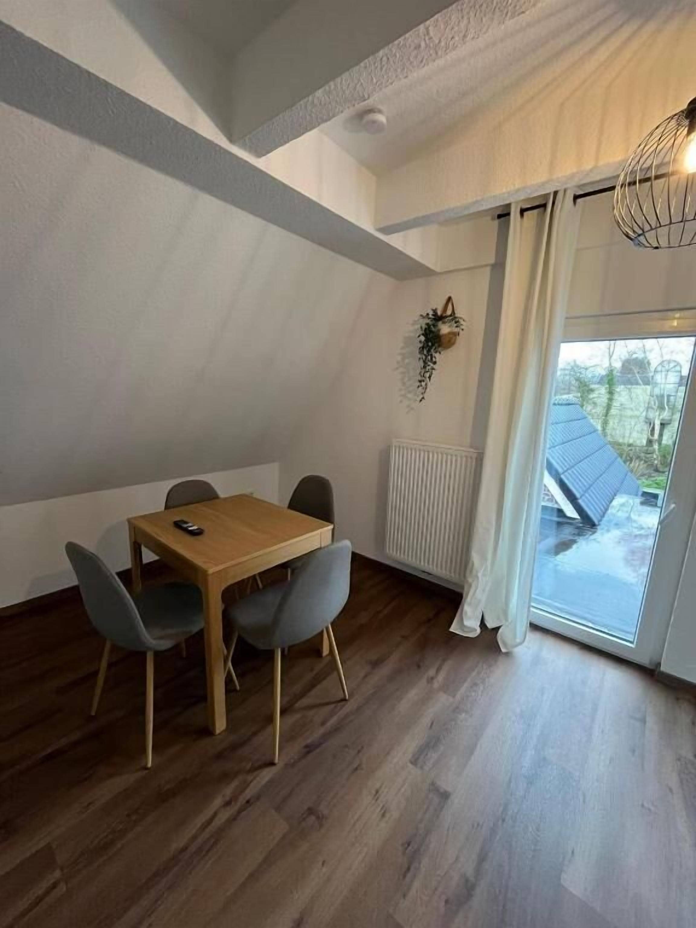 A dining area with a wooden table and chairs, a hanging plant, and a view through a glass door.