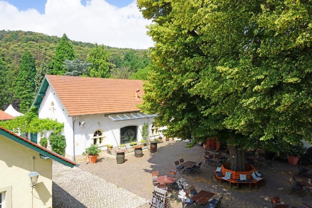 Ein Innenhof mit einem Gebäude, Sitzgelegenheiten im Freien und einem großen Baum.