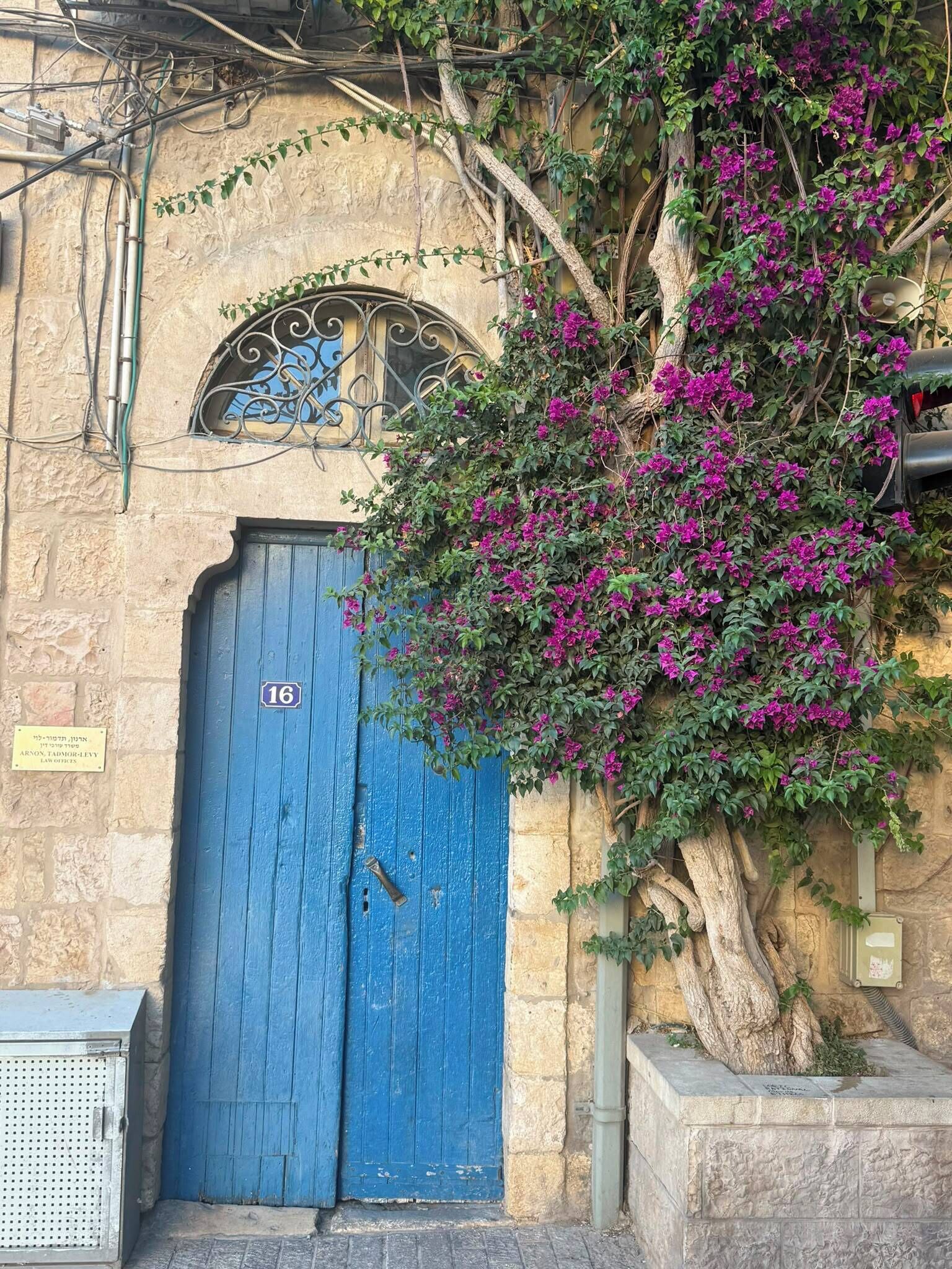 A blue door with a number plaque, a stone wall, and a tree with purple flowers.
