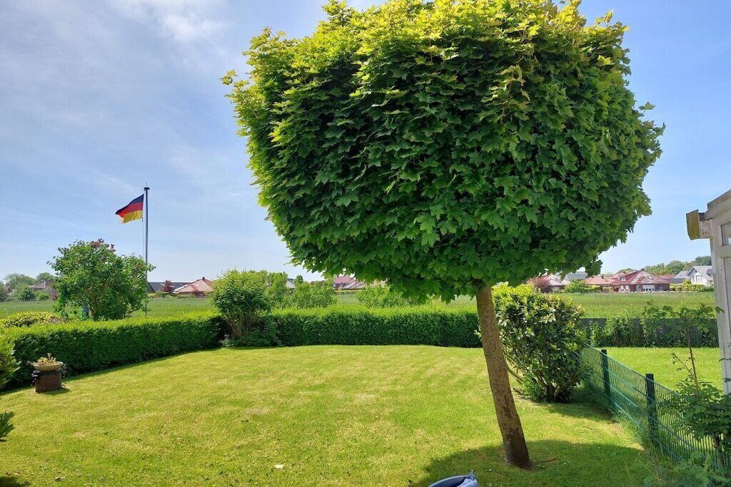 A well-maintained garden with a neatly trimmed hedge, a flagpole with a flag, and a clear sky.