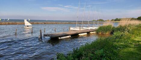 A calm water body with a dock extending into it, surrounded by greenery.