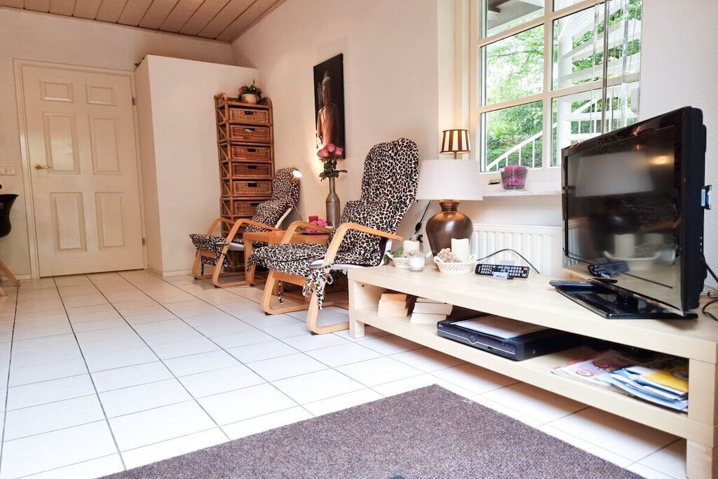 Un salon équipé d’un téléviseur, de deux fauteuils à motifs léopard, d’un meuble en bois et d’une fenêtre donnant sur un paysage verdoyant.