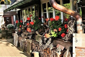 Eine ländliche Outdoor-Szenerie mit einer Holzhütte, einer Metallpipe und verschiedenen Pflanzen und Blumen.