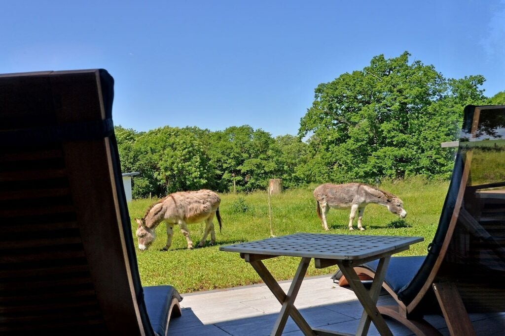 Une vue depuis une fenêtre, avec une table et des chaises, deux ânes qui paissent dans un champ, et une rangée d’arbres dense en arrière-plan.