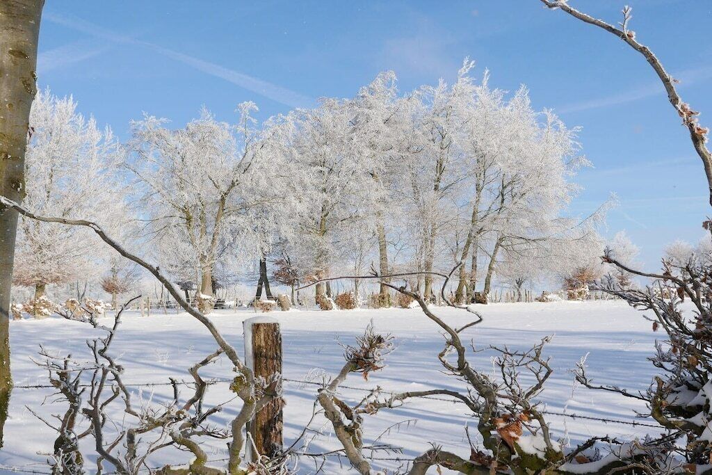 Eine verschneite Landschaft mit kahl stehenden Bäumen und einem Holzzaun.