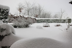 Schneebedeckte Landschaft mit Hecke, Bäumen und verschneitem Boden.
