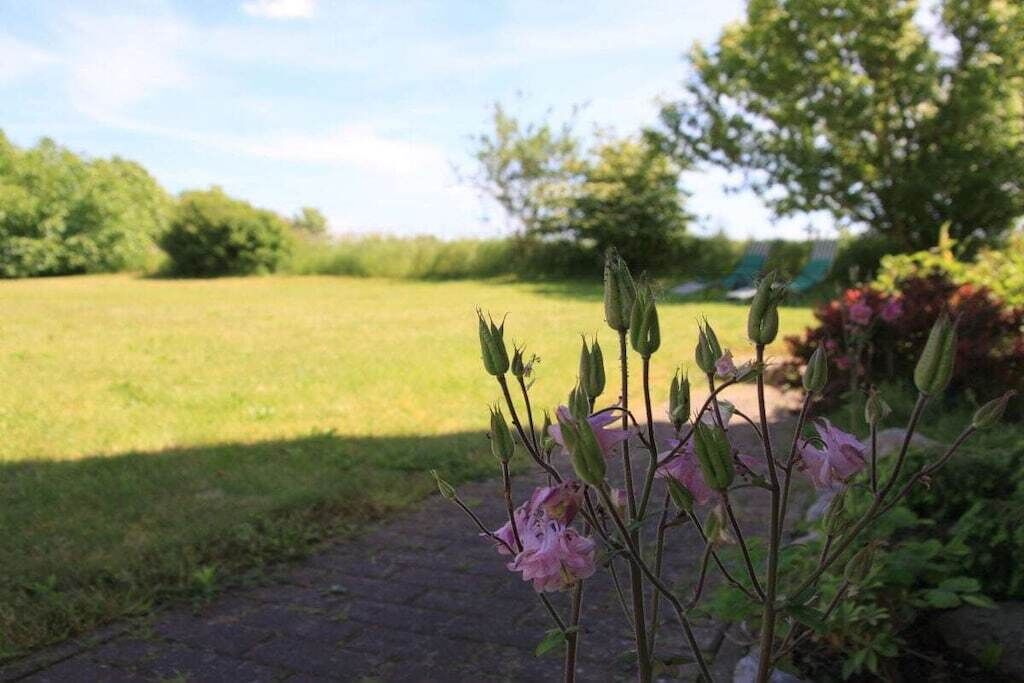 Ein Gartenpfad, der zu einer grünen Wiese mit Bäumen im Hintergrund führt.
