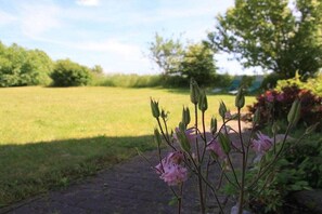 Un sentier de jardin qui mène à un champ herbeux, avec des arbres en arrière-plan.