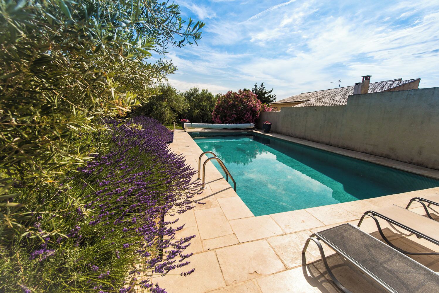 A swimming pool with a clear blue water surface, surrounded by a stone deck and a row of lavender bushes.