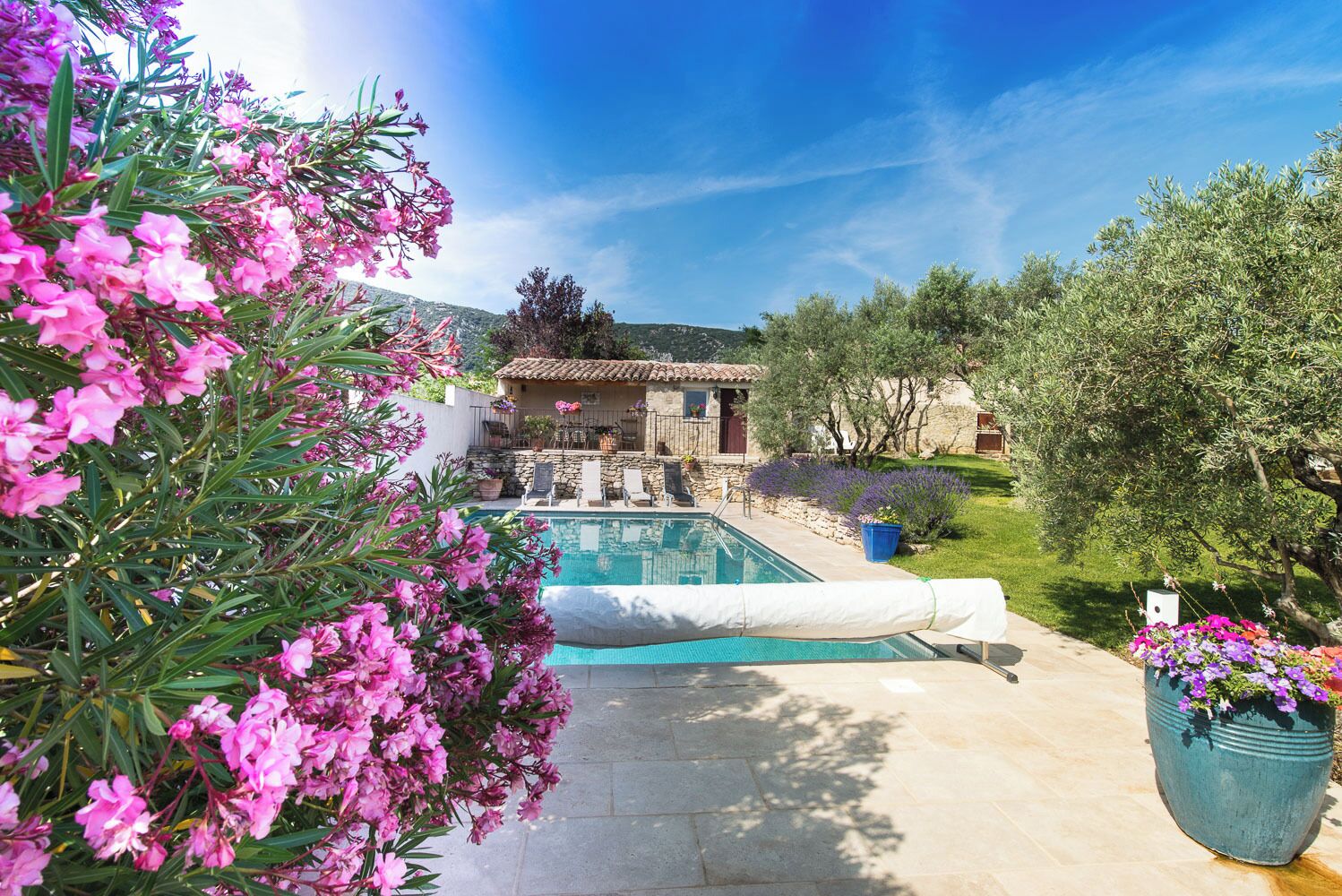 Zona de piscina con solárium de piedra, una casa al fondo y un jardín con plantas en flor.