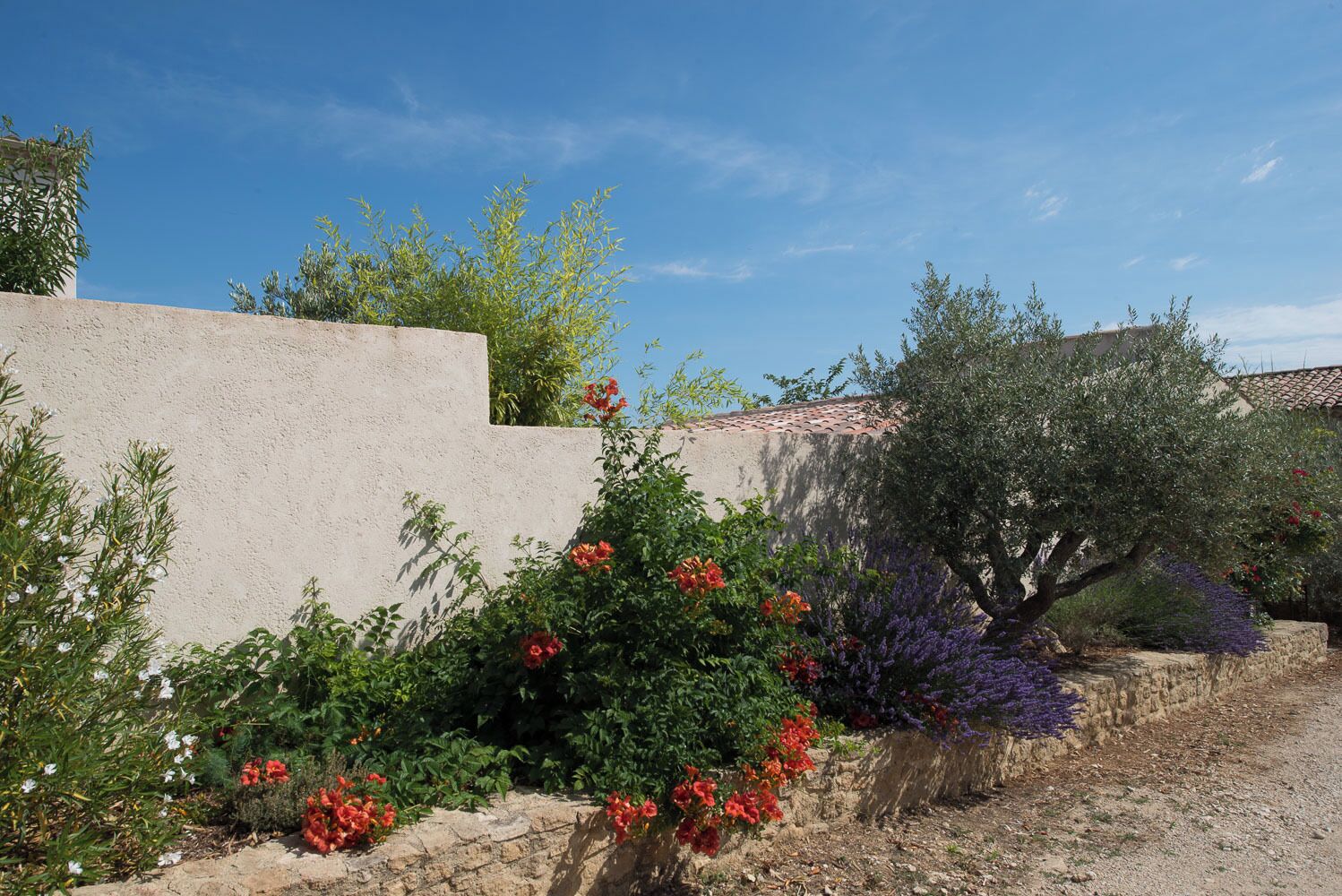 Un jardí amb plantes i flors diverses, una paret de pedra i un edifici amb teulada enrajolada.