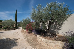 A gravel path leading to a stone wall with various plants and a tall tree. - Just a short walk from the Luberon Mountains—accommodations for up to six people (Maubec)
