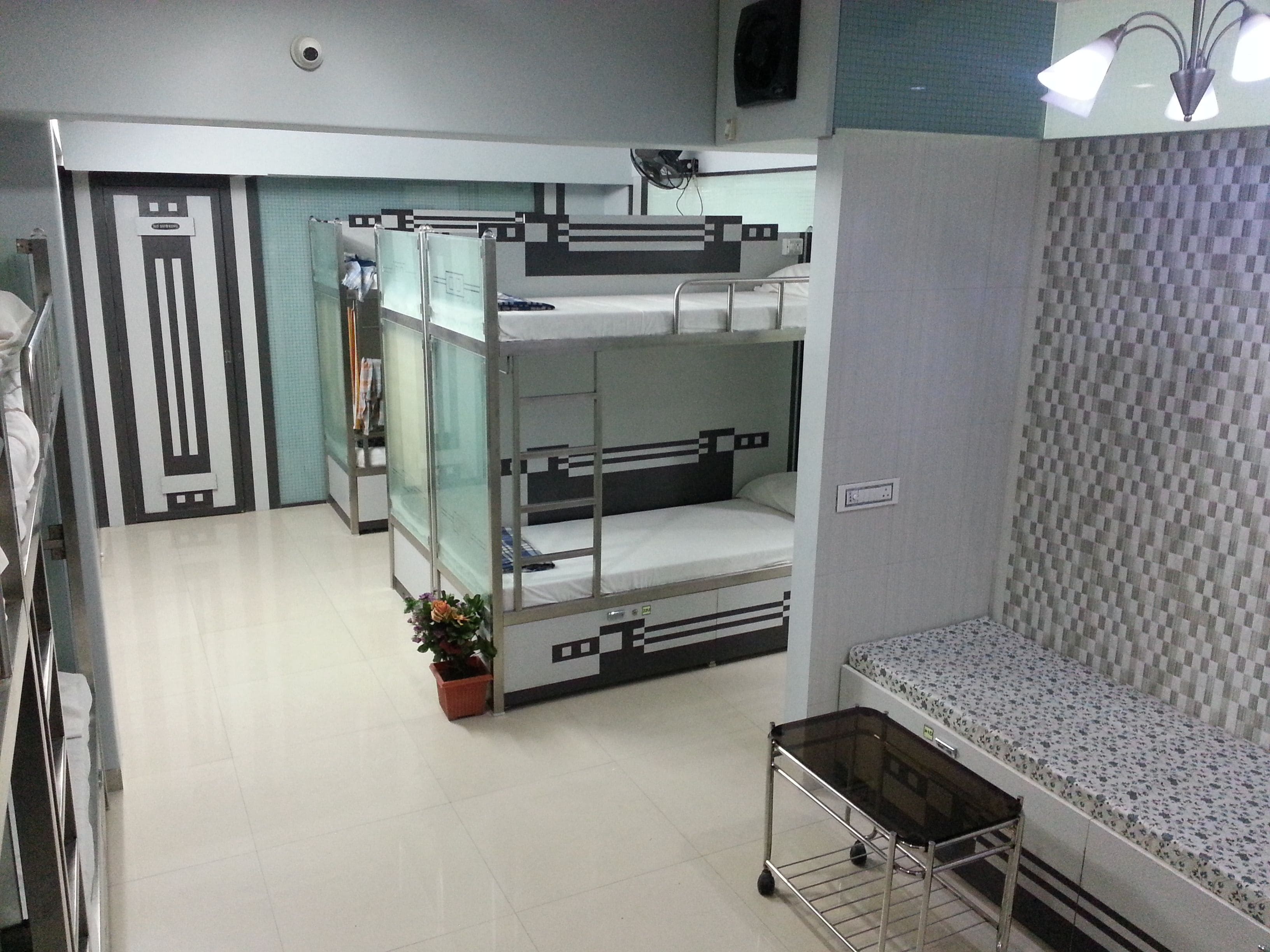 A dormitory room with bunk beds, a small table, and a potted plant.