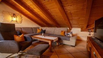 Smart-TV, Kamin