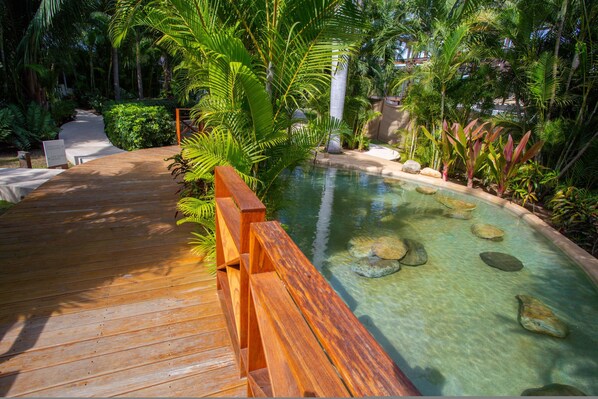 A wooden deck leading to a clear pool surrounded by lush greenery.
