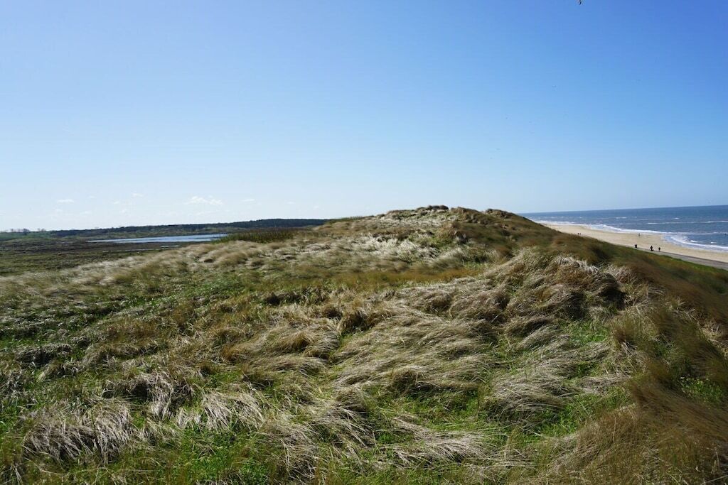 Een kustlandschap met een grasduin en strand.