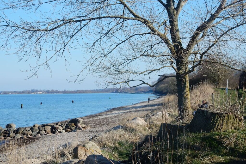 A lakeside view with a rocky shoreline, a tree, and a clear sky.