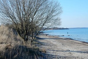 Een strand met een heldere lucht, een zandstrand en een kale boom.
