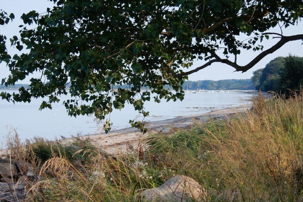 Un paisaje natural con una masa de agua, árboles y una orilla arenosa.
