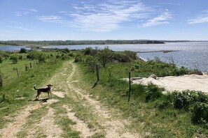 Camí herbaci que condueix a una platja, amb un gos agafat amb corretja.
