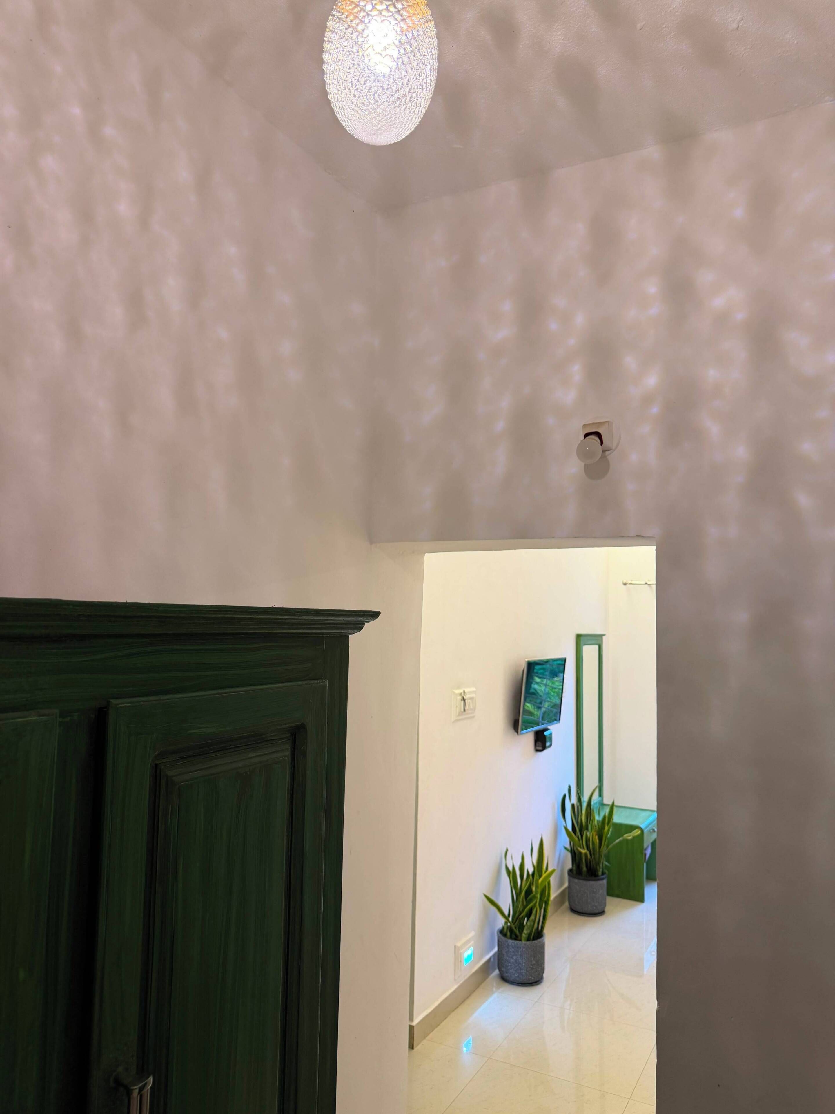 Un pasillo con pared texturizada, una puerta verde y plantas en macetas.