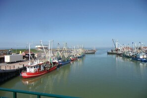 A marina with multiple fishing boats docked, calm water, and clear skies. - Holiday apartment with 1 bedroom (Dornumersiel)