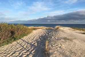 A sandy beach path leading to the ocean with a wooden post in the center. - Holiday apartment with 1 bedroom (Dierhagen)