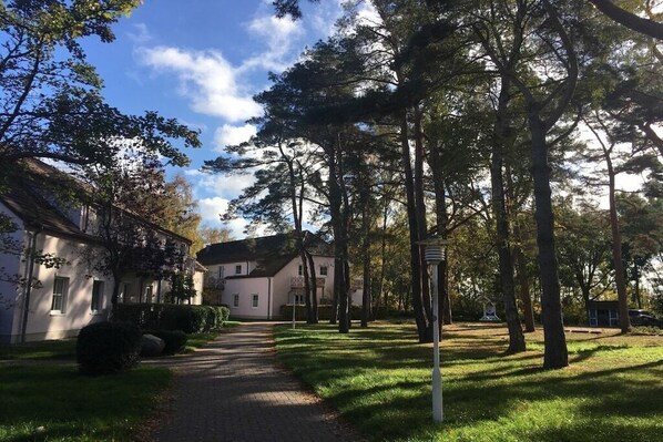Un camino que lleva a un edificio rodeado de árboles y un cielo despejado.