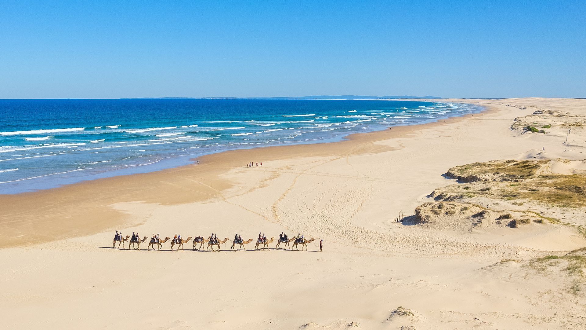 Een strand met een groep kameelrijders, een heldere lucht en de oceaan.