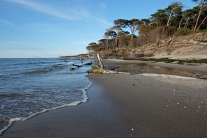 A beach with calm waves, a sandy shore, and trees in the background. - Morning sun in Bültenhus (Born\/Darß)