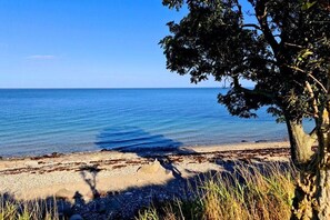 Una spiaggia con acque cristalline, una riva sabbiosa e un albero sullo sfondo.